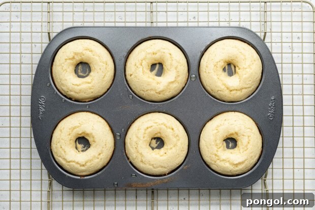 Fully baked vanilla gluten-free donuts in a donut pan on a wire cooling rack.