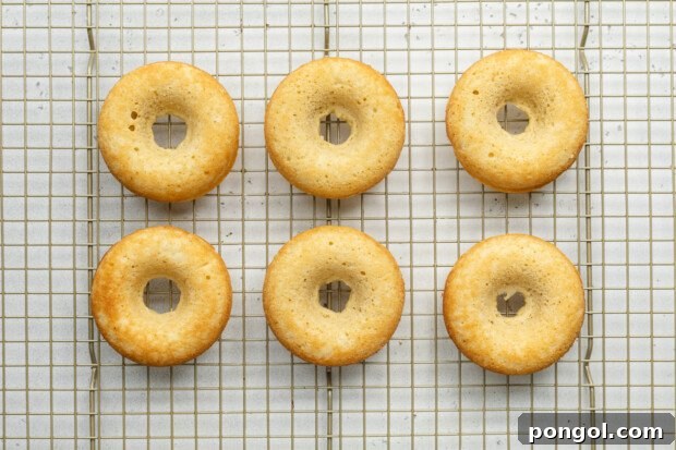 Overhead view of 6 baked chocolate gluten-free donuts on a wire cooling rack.