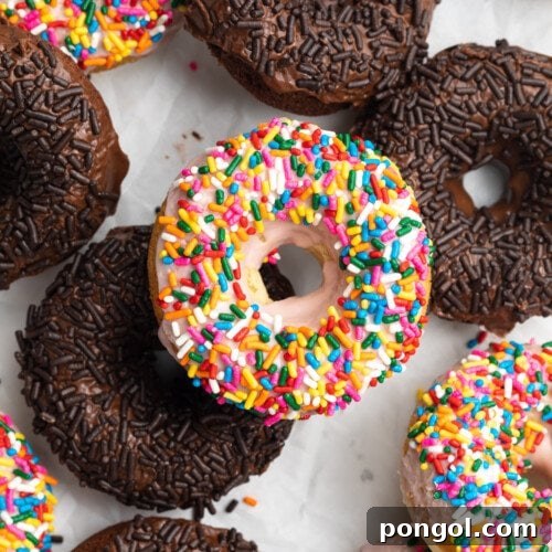Overhead view of a mix of chocolate and vanilla gluten-free sprinkled donuts.