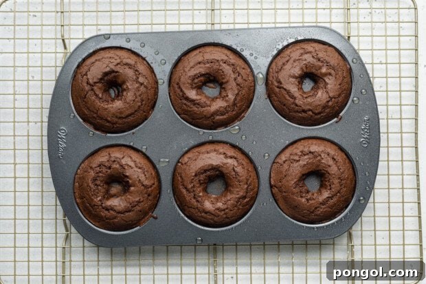 Fully baked chocolate gluten-free donuts in a donut pan on a wire cooling rack.