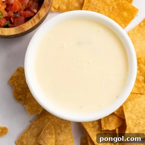 Overhead view of a bowl of white queso with a dollop of diced tomatoes in the center, surrounded by tortilla chips.