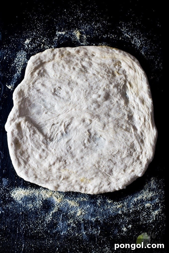 Perfect Food Processor Pizza Dough. Not only is this pizza dough just perfect in taste and texture, it's so quick and easy to make at home. A delicious homemade crust awaits!