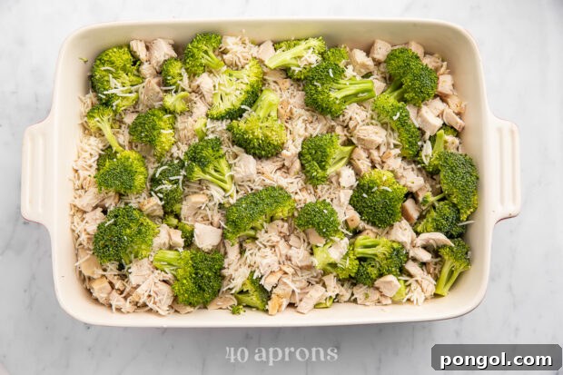 Overhead view of chicken, rice, and broccoli in a large white rectangular casserole dish, ready for the cheese sauce.