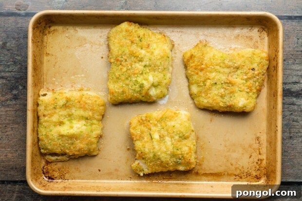 Overhead view of 4 potato-crusted cod fillets on a worn baking sheet.