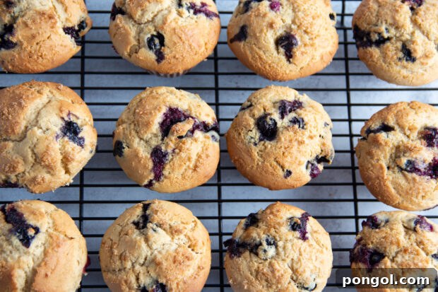 Overhead view of a dozen gluten free blueberry muffins on a wire cooling rack.