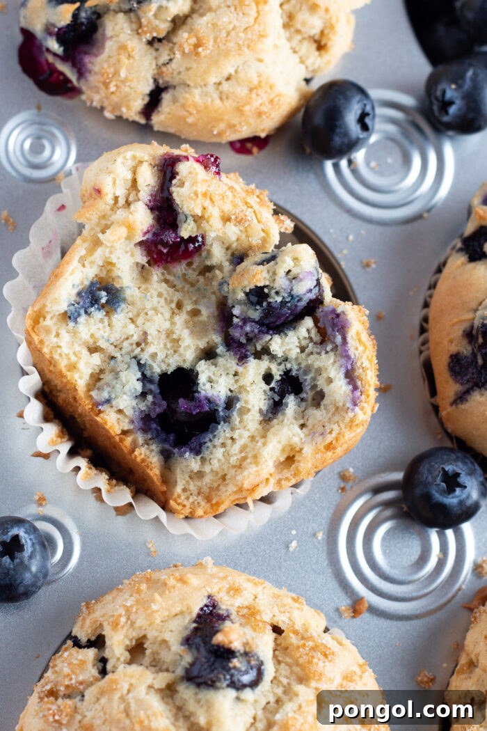 Close-up of a halved gluten free blueberry muffin in a muffin tin with other muffins.