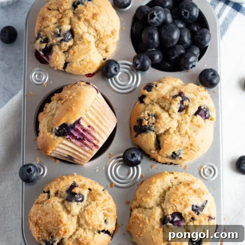 Overhead view of a muffin pan with blueberry muffins and a pocket of loose blueberries.