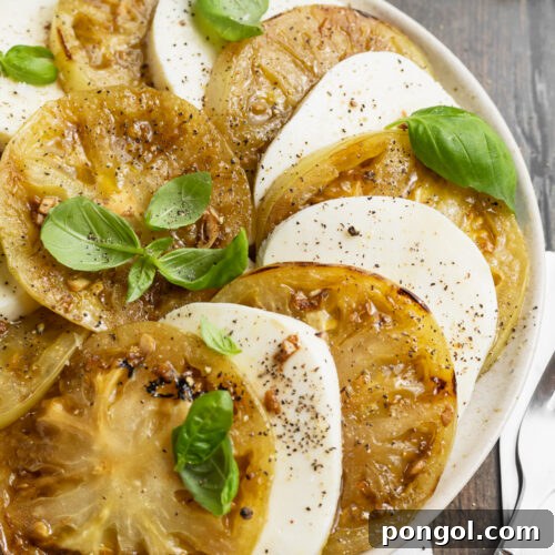 Overhead view of slices of grilled green tomatoes and fresh mozzarella arranged in a circle on plate, ready to be served.