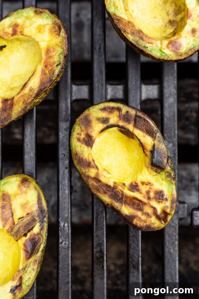 Fire-Kissed Avocado 2 Overhead view of grilled avocado halves on a grill, with black grill marks criss-crossing on avocado meat.