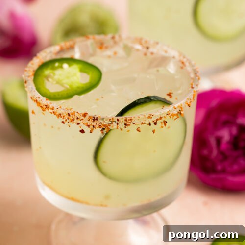 Jalapeño Cucumber Zing Margarita 5 A vibrant cucumber jalapeno margarita in a short stemmed glass, with a Tajin rim and garnished with a crisp cucumber slice and a thin jalapeño ring.