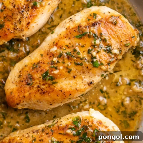 Overhead view of a whole garlic butter chicken breast in garlic butter sauce in a silver skillet.