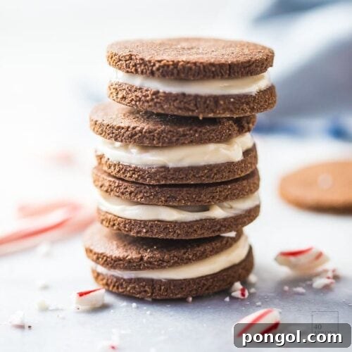 Paleo Peppermint Oreos. The perfect paleo Christmas cookies, these paleo Oreos are delicious. And who doesn't love peppermint Oreos?! Dairy-free, grain-free, and no processed sugar!