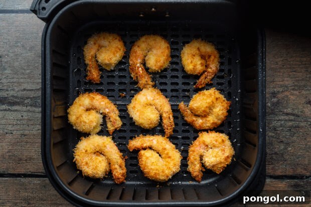 Overhead view of air fried shrimp in an air fryer basket.