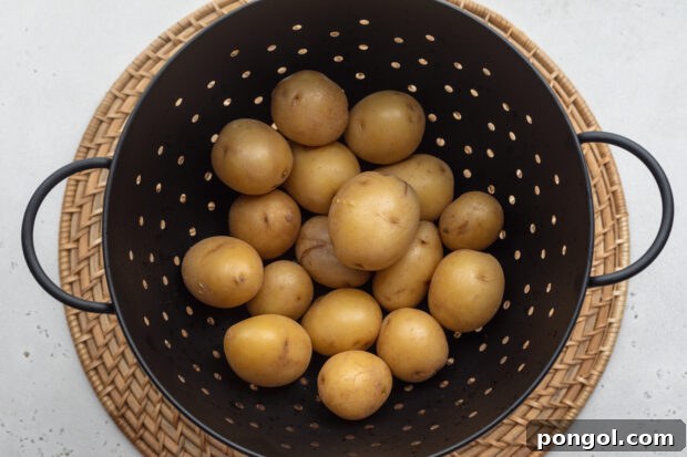 Overhead view of boiled baby potatoes in a large colander on a neutral background.
