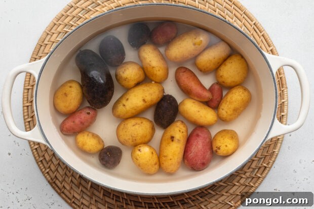 Overhead view of fingerling potatoes in a large pot with handles on a neutral background.