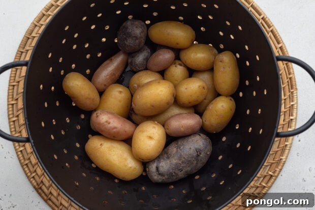 Overhead view of boiled fingerling potatoes in a large colander on a neutral background.