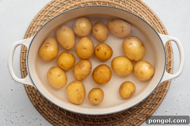 Overhead view of baby potatoes in a large pot with handles on a neutral background.