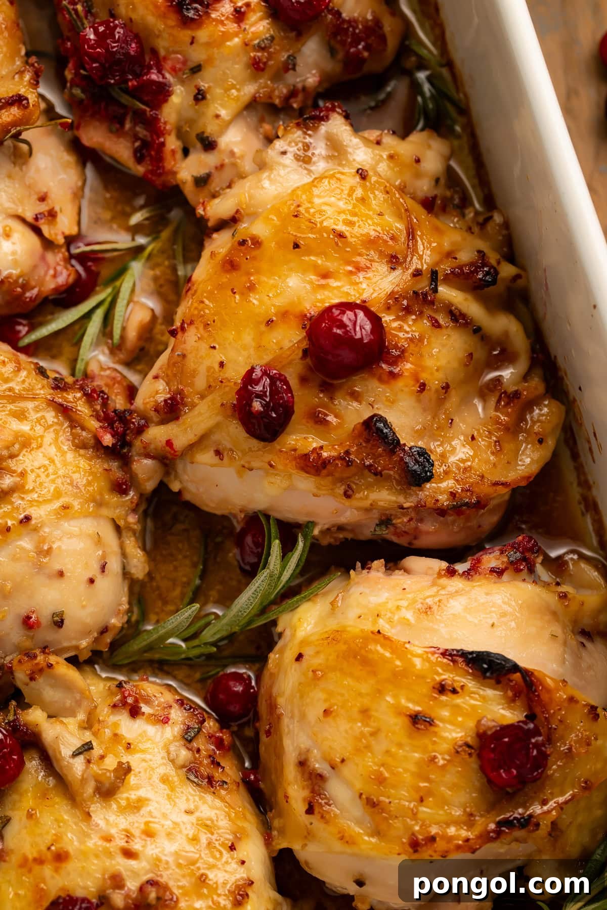 Easy One-Pan Cranberry Rosemary Chicken 2 Close-up of golden-brown roasted chicken thighs with fresh cranberries and rosemary herbs, showcasing crispy skin and juicy texture.