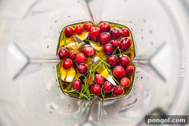 Ingredients for a cranberry olive oil marinade with fresh rosemary in a large standard blender.