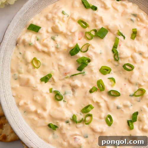 Overhead view of a large bowl of shrimp dip, garnished with chopped green onions.