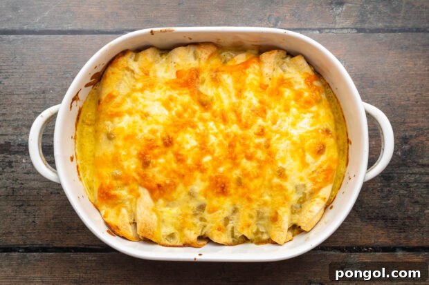 Overhead view of a fully baked shrimp enchilada casserole topped with golden-brown, melted shredded cheese and a creamy sauce.