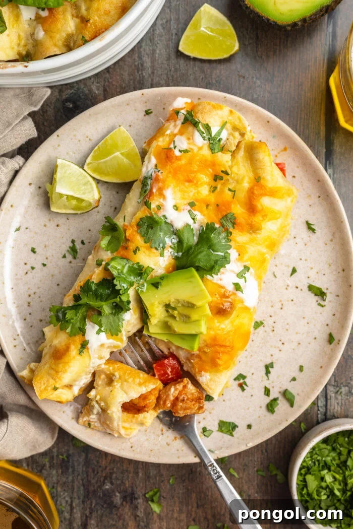 Overhead view of plated shrimp enchiladas garnished with fresh avocado slices and chopped cilantro.