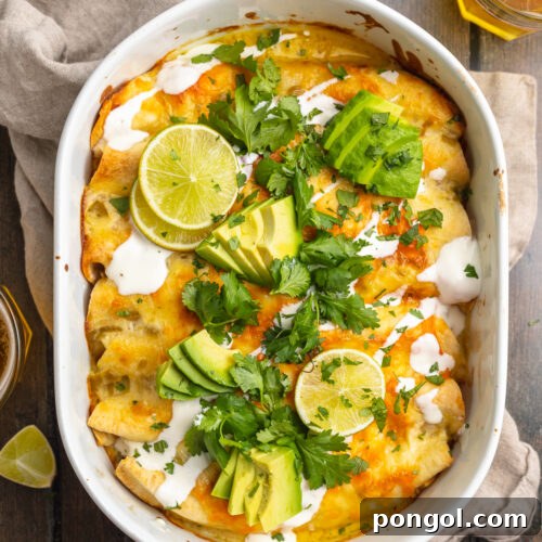 Overhead view of a casserole dish containing shrimp enchiladas topped with cilantro, slices of avocado, and sour cream.