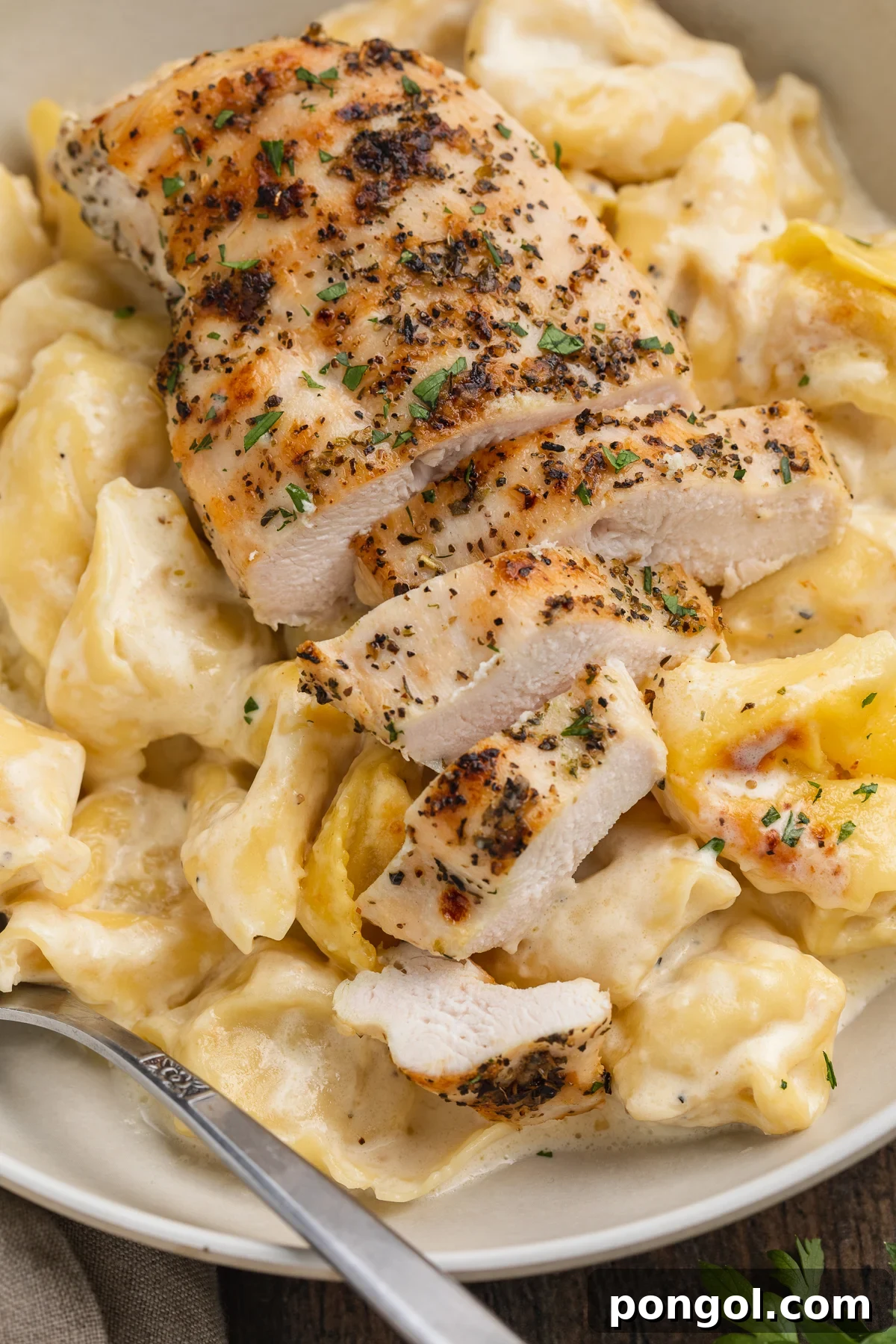 Overhead, close-up view of grilled chicken breast slices atop a bed of asiago tortelloni alfredo in a large bowl.