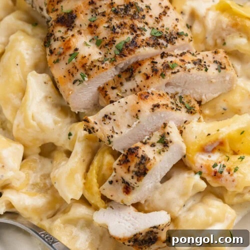 Overhead, close-up view of grilled chicken breast slices atop a bed of asiago tortelloni alfredo in a large bowl.