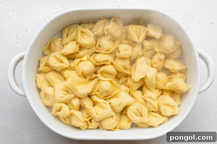 Overhead view of cooked tortelloni in a large oval baking dish on a neutral countertop.