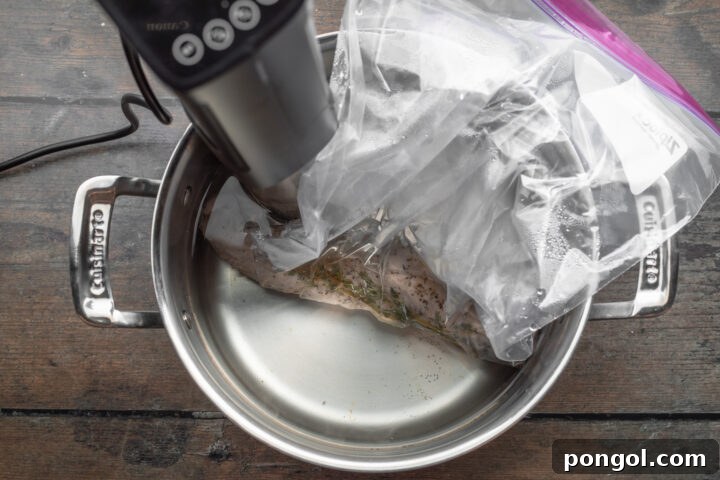 Overhead view of pork tenderloin in a gallon ziploc bag, lowered into a large pot with water and a sous vide circulator.