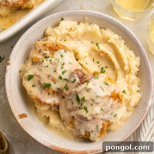 Overhead view of a bowl of chicken soup chicken over a bed of creamy mashed potatoes, with a casserole dish of chicken in the background.