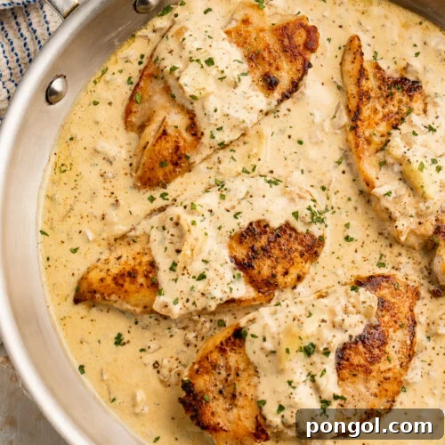Overhead view of 4 chicken breasts in a creamy garlic sauce in a large silver skillet.