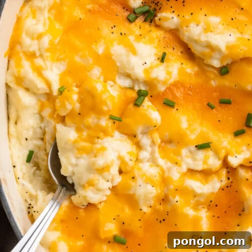 Overhead view of a large dish of cheesy mashed potatoes. A large silver spoon rests in the potatoes.
