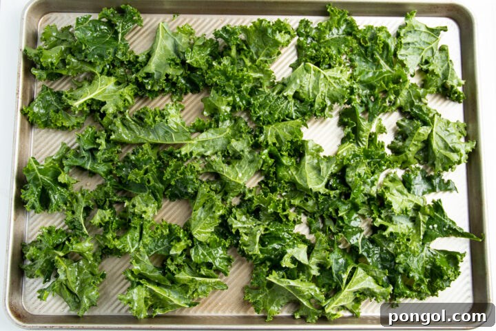 Kale leaves, chopped then seasoned with oil and garlic, spread out across a silver baking sheet.