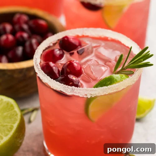 Crimson Margarita 4 Bright red cranberry margaritas shown in stemless glasses rimmed with salt and sugar. Drinks are garnished with cranberries, rosemary, and lime wedges.
