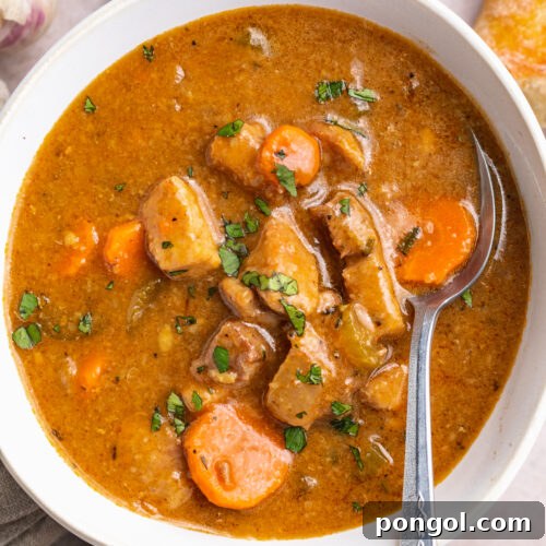 Overhead view of a bowl of pork stew on a table with recipe ingredients scattered around.