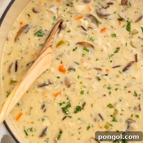 Overhead view of a large heavy pot containing creamy chicken and wild rice soup with mushrooms and carrots. A wooden spoon rests in the soup.