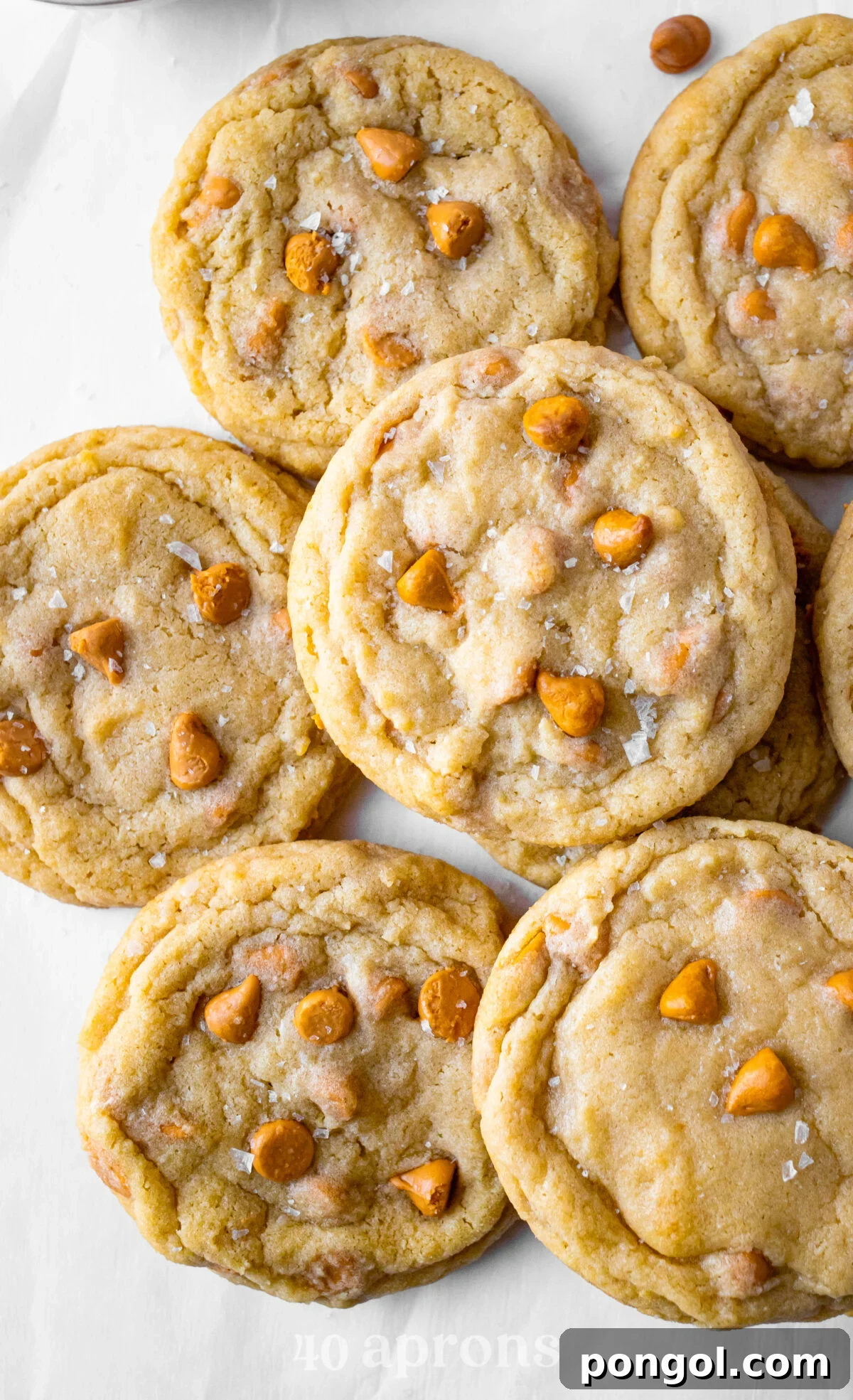Melt Away Butterscotch Chews 2 A vibrant overhead shot of a generous pile of freshly baked, soft and chewy butterscotch cookies on a neutral background, highlighting their golden-brown edges and inviting texture.