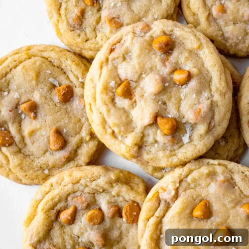 Overhead view of a pile of chewy butterscotch cookies on a neutral background.