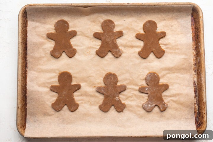 Gluten-free gingerbread cookie dough with shapes cut out on a floured surface.