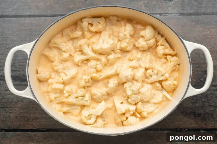 Overhead view of cauliflower florets covered in cheese sauce in a large, heavy-bottomed pot, ready for baking.