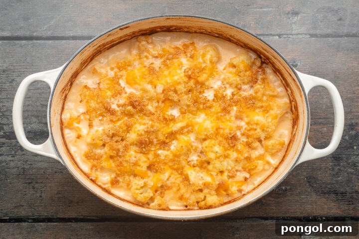 Overhead view of keto mac and cheese with golden brown "breadcrumb" topping in a large baking dish, fresh from the oven.