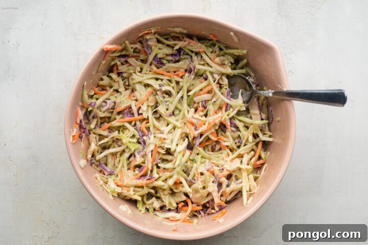 Coleslaw ingredients, including mix, mayo, Dijon mustard, and ACV, being combined in a pink mixing bowl.