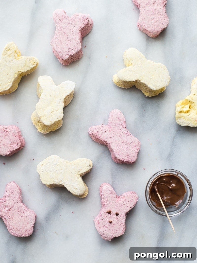 These paleo peeps are the perfect paleo Easter candy. Made from homemade raspberry paleo marshmallows and toasted coconut lemon paleo marshmallows, you'll be shocked at how similar they are to the traditional treat, but made only with healthy ingredients. A paleo Easter staple! Or cut them into cubes for an anytime paleo dessert.