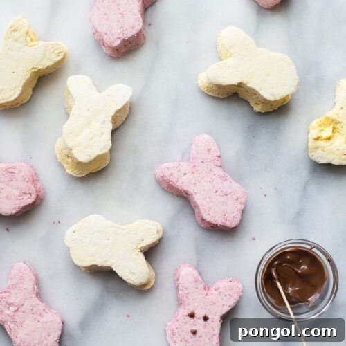These paleo peeps are the perfect paleo Easter candy. Made from homemade raspberry paleo marshmallows and toasted coconut lemon paleo marshmallows, you'll be shocked at how similar they are to the traditional treat, but made only with healthy ingredients. A paleo Easter staple! Or cut them into cubes for an anytime paleo dessert.