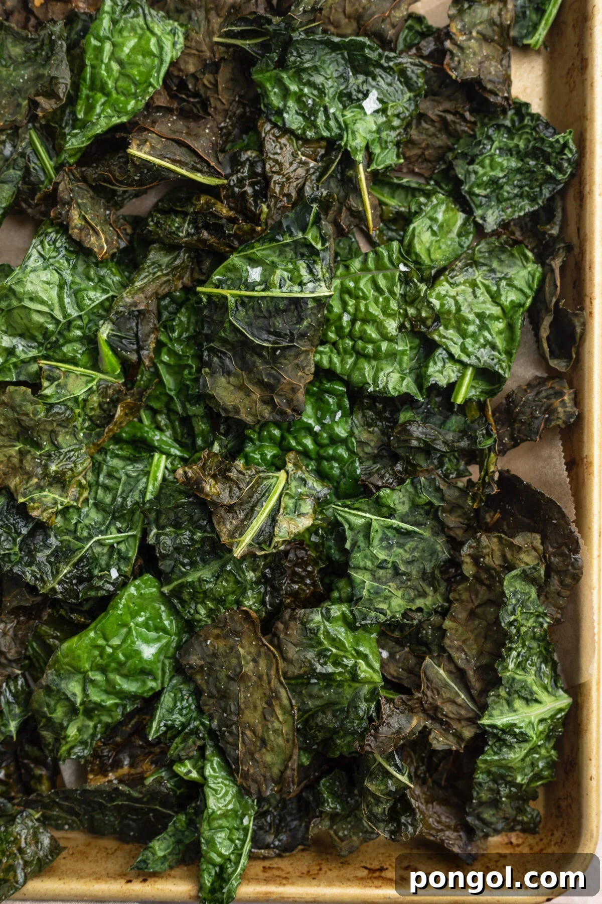 The Ultimate Air Fryer Kale Crunch 3 Close-up of deep green, crispy air fryer kale chips on a large baking sheet.