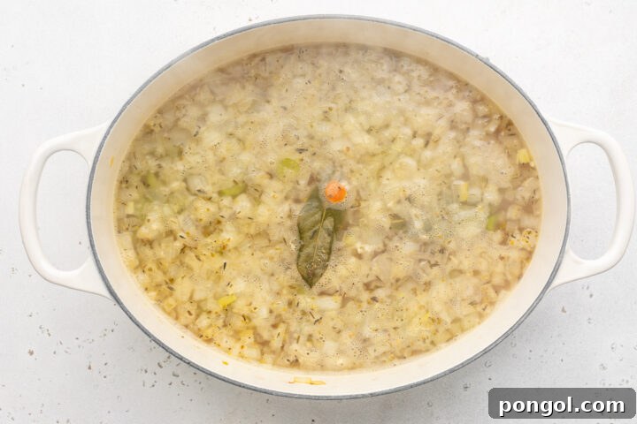 Keto chicken soup with broth in a large soup pot.