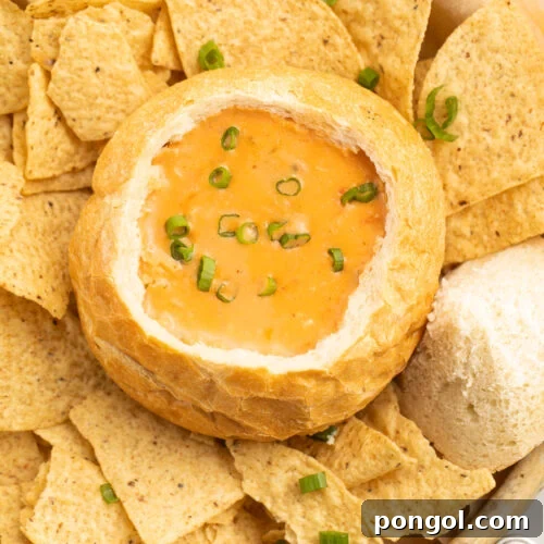 Top-down view of McAlister's chicken tortilla soup copycat in a bread bowl surrounded by tortilla chips.