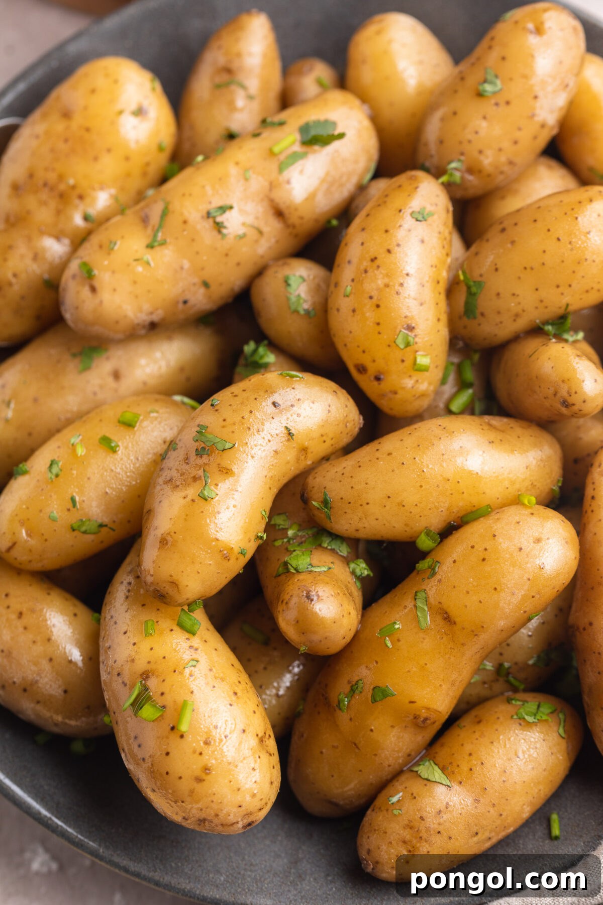 Close-up look at sous vide potatoes slow-cooked in butter and fresh herbs, piled in a grey shallow serving bowl.